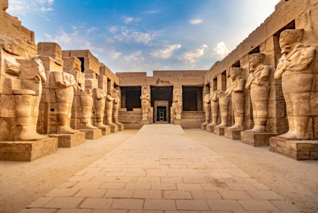 Full day tour (Karnak temple, V.O.K,Hatchepsut and Colossi of Memnon)